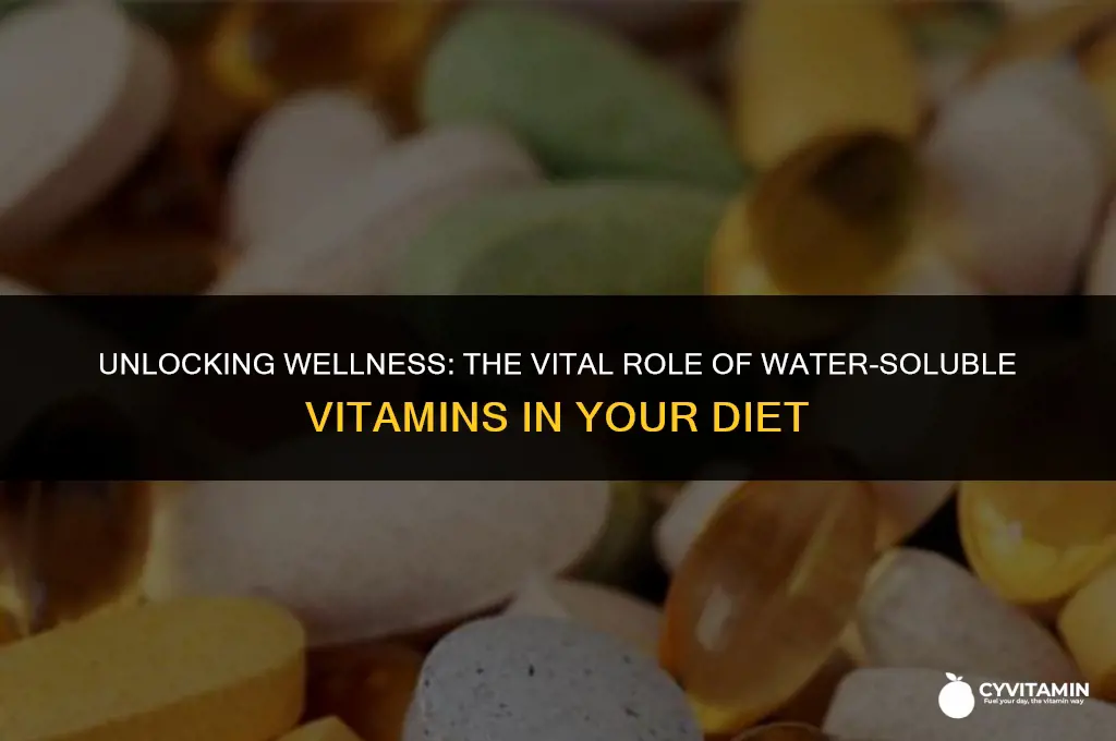 are water soluble vitamins essential nutrients