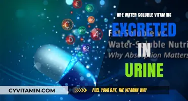 Exploring the Fate of Water-Soluble Vitamins: Are They Excreted in Urine?