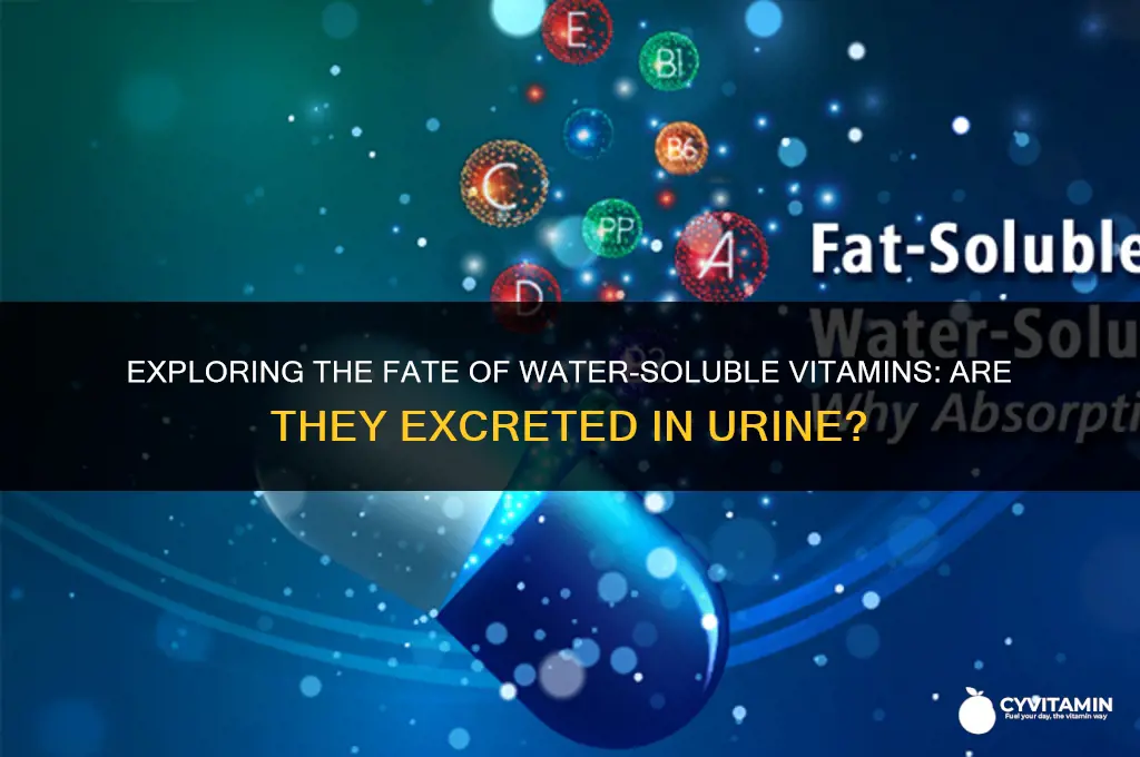 are water soluble vitamins excreted in urine