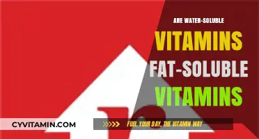 Exploring the Solubility Spectrum: Water vs. Fat-Soluble Vitamins