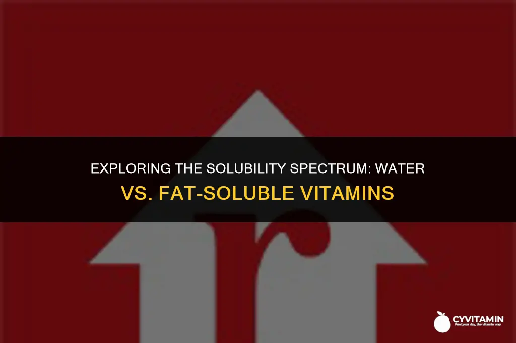 are water-soluble vitamins fat-soluble vitamins