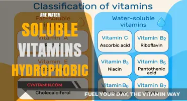 Unveiling the Hydrophobic Nature of Water-Soluble Vitamins