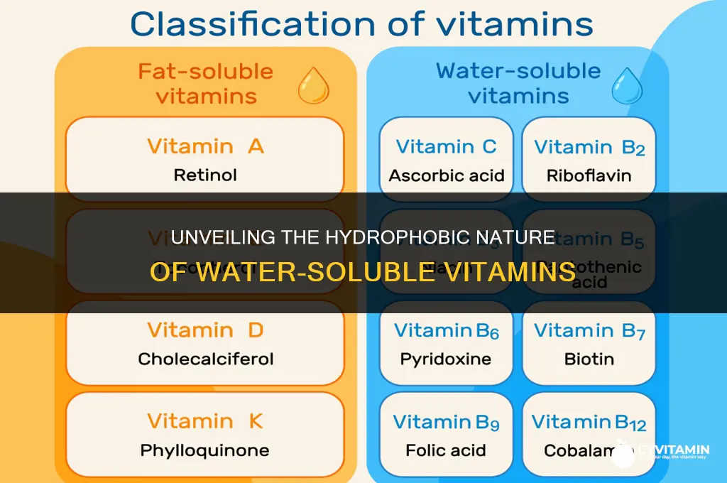 are water soluble vitamins hydrophobic
