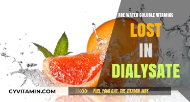 Dialysis and Nutrition: The Fate of Water-Soluble Vitamins