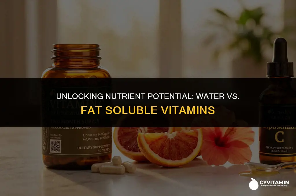 are water soluble vitamins more bioavaiable than fat soluble vitamins