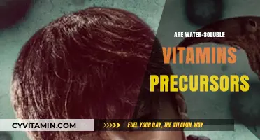 Exploring the Role of Water-Soluble Vitamins as Precursors