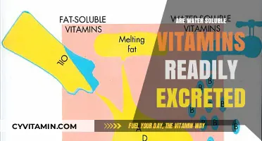 Exploring the Fate of Water-Soluble Vitamins in the Body