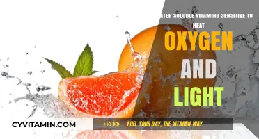 Exploring the Sensitivity of Water-Soluble Vitamins to Heat, Oxygen, and Light