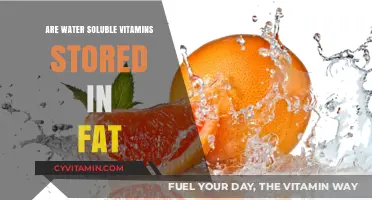 Exploring the Myth: Water-Soluble Vitamins and Fat Storage