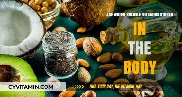 Exploring the Storage of Water-Soluble Vitamins in the Human Body