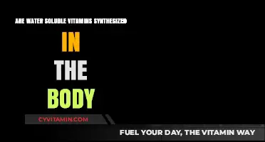 Exploring the Synthesis of Water-Soluble Vitamins Within the Human Body