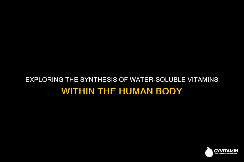 are water soluble vitamins synthesized in the body