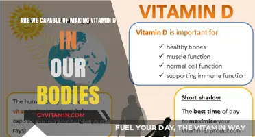 Unlocking the Secrets of Vitamin D: Our Body's Natural Production