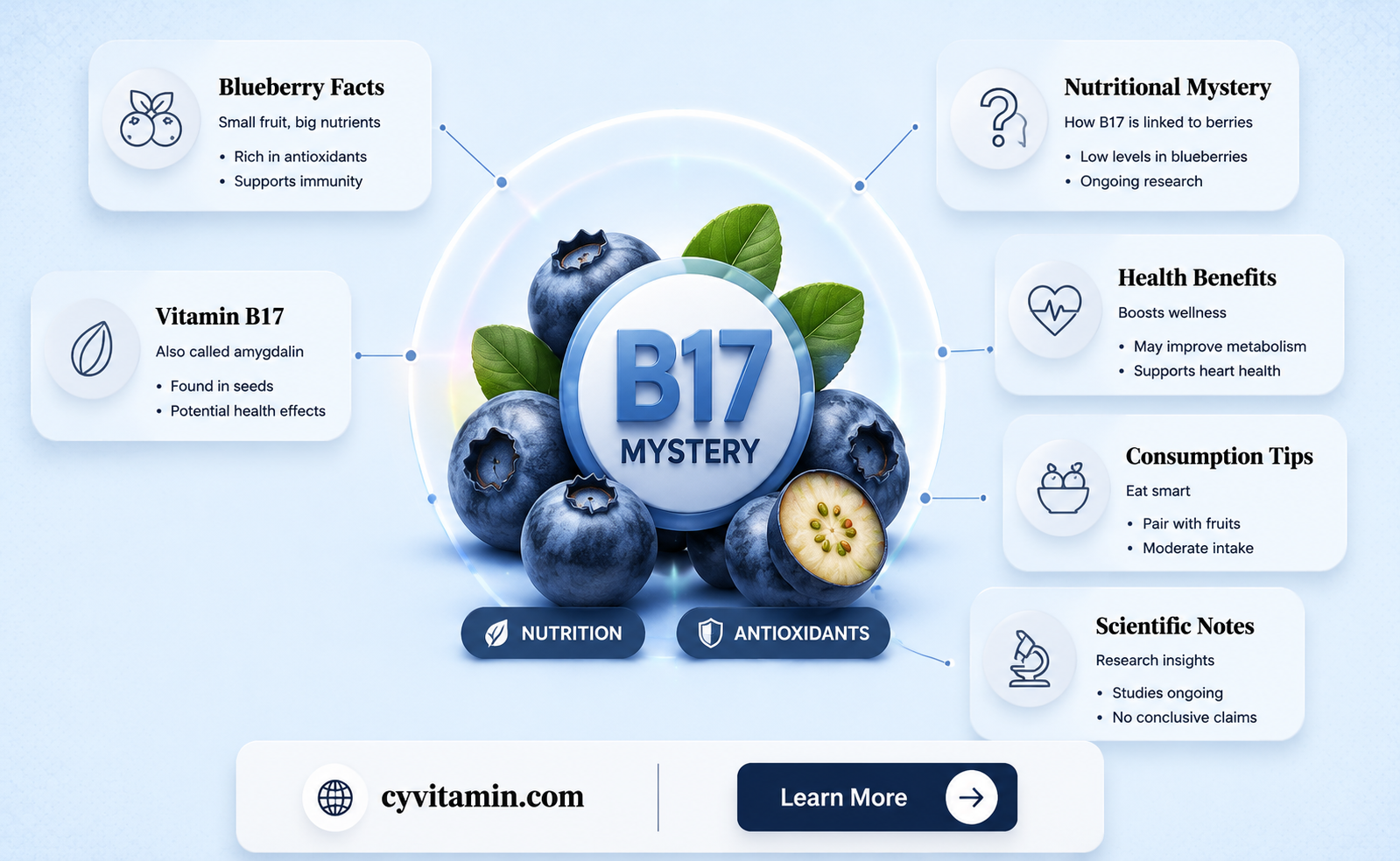 do blueberries contain vitamin b17