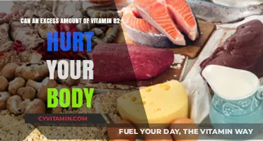 Exploring the Effects of Excessive Vitamin B2 Intake on Health