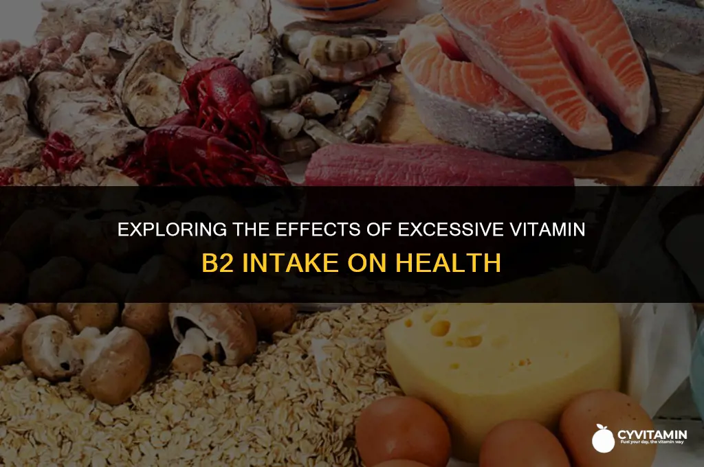 can an excess amount of vitamin b2 hurt your body