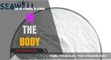 Unlocking the Secrets of Vitamin B6 Storage in the Human Body