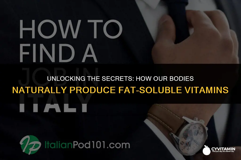 can body secrete fat soluble vitamins