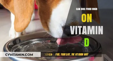Exploring the Impact of High Vitamin D in Dog Food