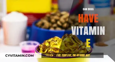 Boosting Canine Health: The Benefits and Risks of Vitamin E for Dogs