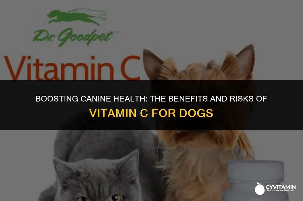 can dogs take vitamin c