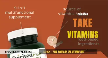 Boosting Canine Health: The Truth About Vitamins for Dogs