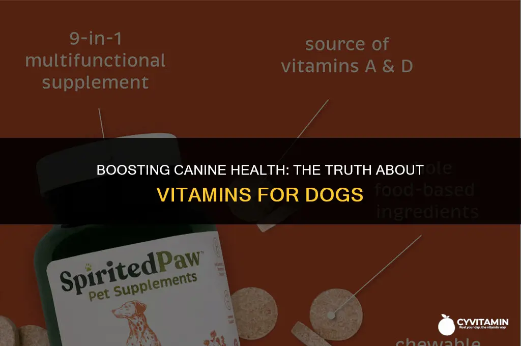 can dogs take vitamins