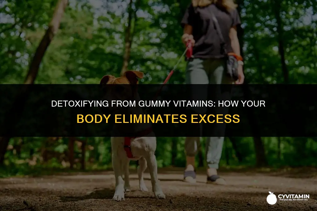 can gummy vitamin overdose be passed out of the body