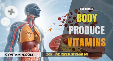 Unlocking Nature's Pharmacy: The Body's Vitamin Production Secrets