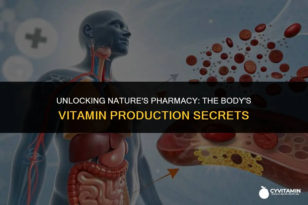 can human body produce vitamins