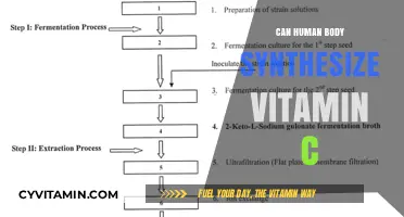 Unlocking the Secrets: Can Our Bodies Naturally Produce Vitamin C?