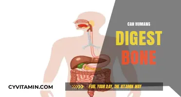 Exploring the Digestive Limits: Can Humans Really Digest Bone?