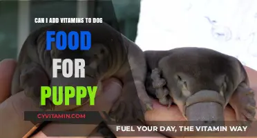Boosting Puppy Health: The Safe Guide to Adding Vitamins to Dog Food