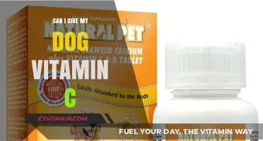 Boosting Canine Health: The Benefits and Risks of Vitamin C for Dogs