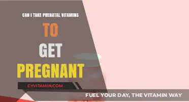 Boosting Fertility: The Role of Prenatal Vitamins in Conception