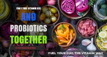 Boosting Health: The Synergy of Vitamin B12 and Probiotics