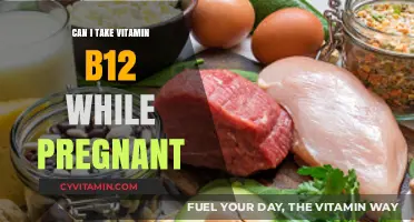 Nourishing Your Pregnancy: The Benefits of Vitamin B12