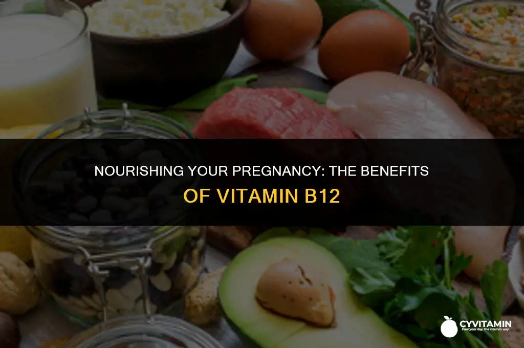can i take vitamin b12 while pregnant