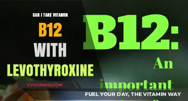 Thyroid and B12: A Guide to Safe Supplement Interaction