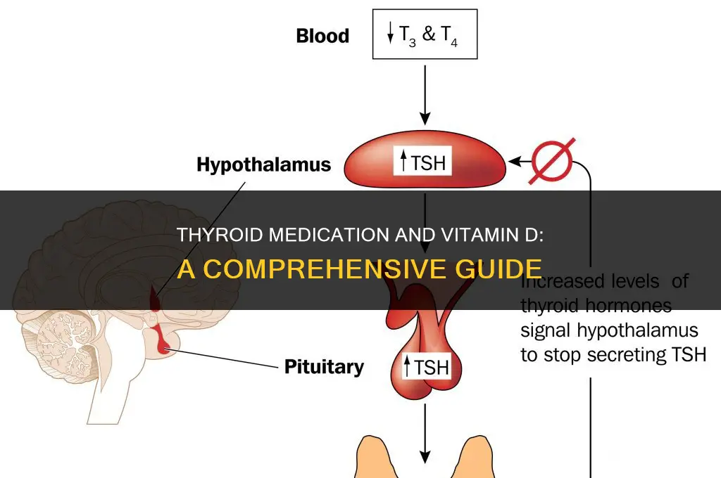 can i take vitamin d with thyroid medication