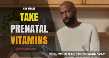 Boosting Paternal Health: The Benefits of Prenatal Vitamins for Men