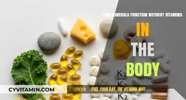 Exploring the Synergy: Can Minerals Function Without Vitamins?