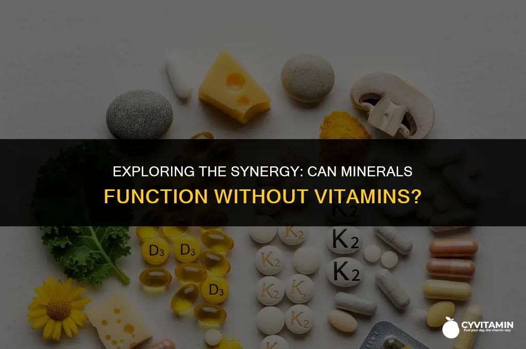can minerals function without vitamins in the body