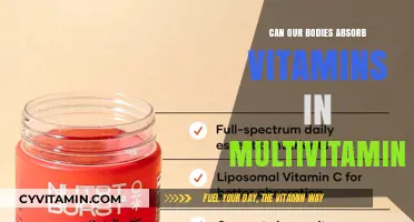 Unlocking Nutrition: The Truth About Vitamin Absorption in Multivitamins