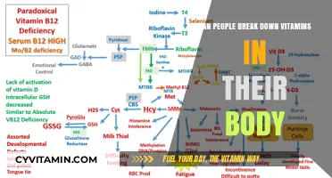 Unlocking Nutrition: How Our Bodies Break Down Vitamins
