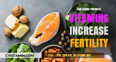 Boosting Fertility: The Role of Prenatal Vitamins in Conception