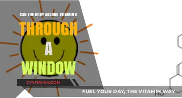 Sunlight and Supplements: Can Your Body Absorb Vitamin D Through a Window?