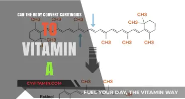 Unlocking Nutrition: The Body's Ability to Convert Carotenoids into Vitamin A