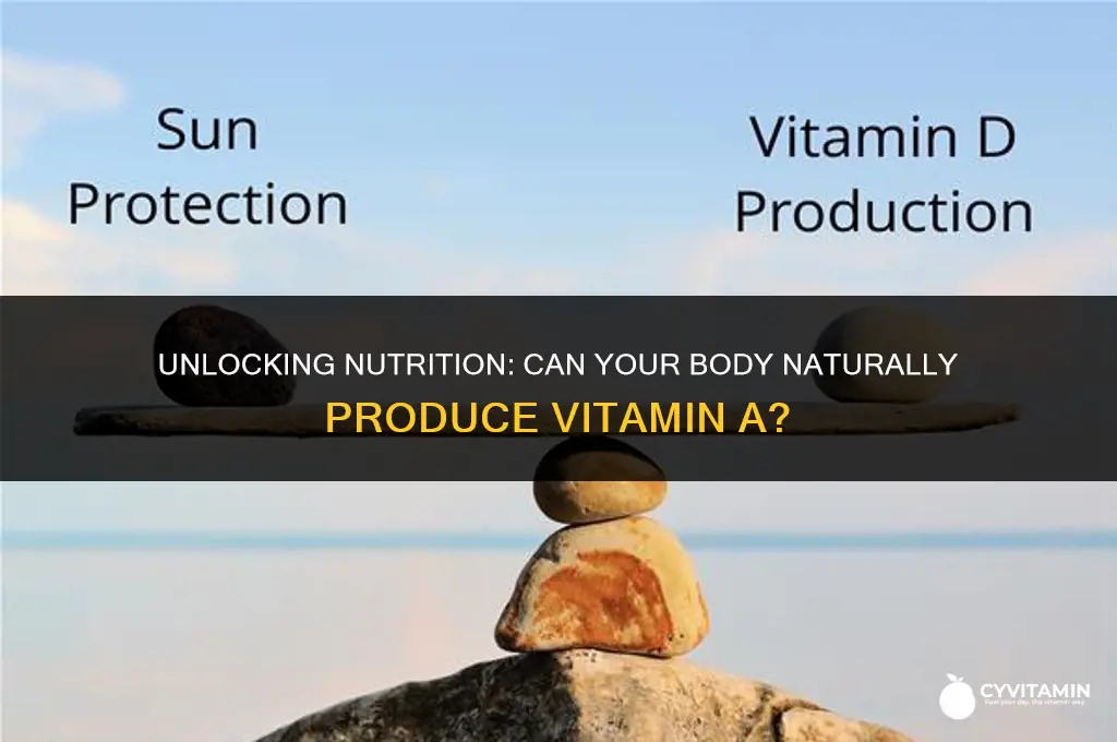 can the body produce vitamin a