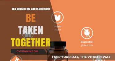 Unlocking Wellness: The Synergy of Vitamin B12 and Magnesium